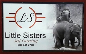 BannerSmall300 Little Sisters Logo